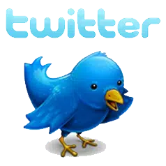 twitter-logo3.png